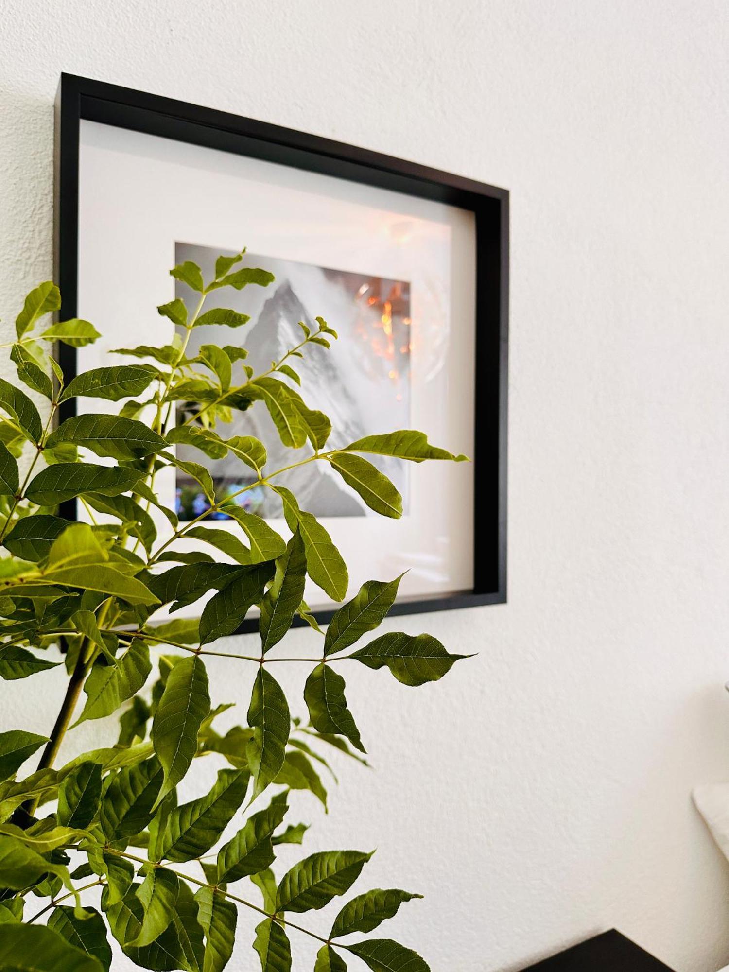 Schoene Ferienwohnung Schottwien Dış mekan fotoğraf